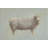 Badilla Sheep Strut III by Marilyn Wendling - Painting-862318469-862318474