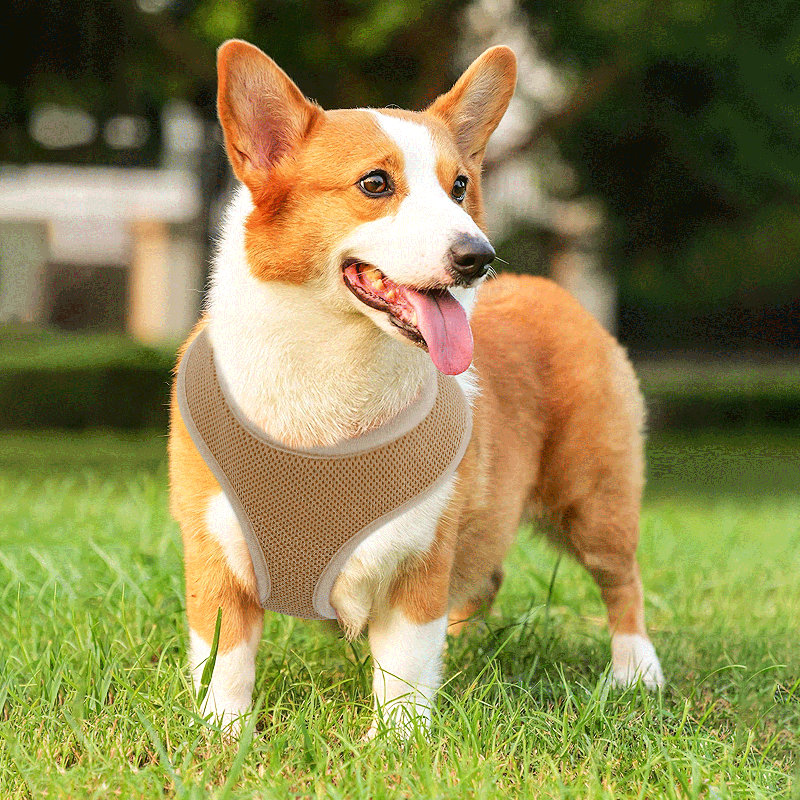 Harnais pour chien en maille, harnais anti-traction ajustable et rembourré avec anneau en D et boucle pour chiens, Brun clair