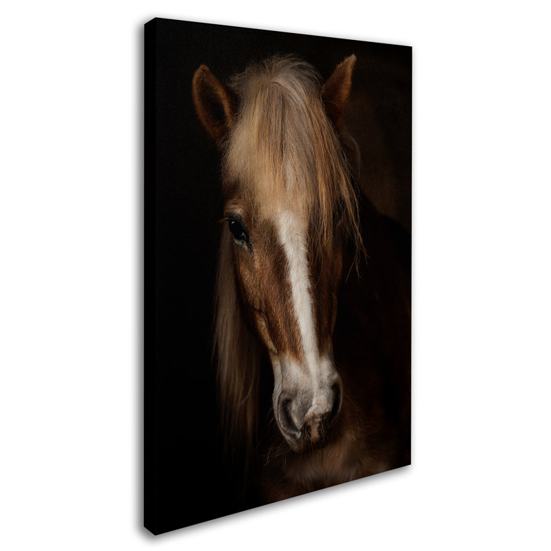 « sapience », reproduction de photo sur toile tendue, H 32 po x l 22 po