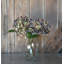 Hydrangea Stem-1833746634