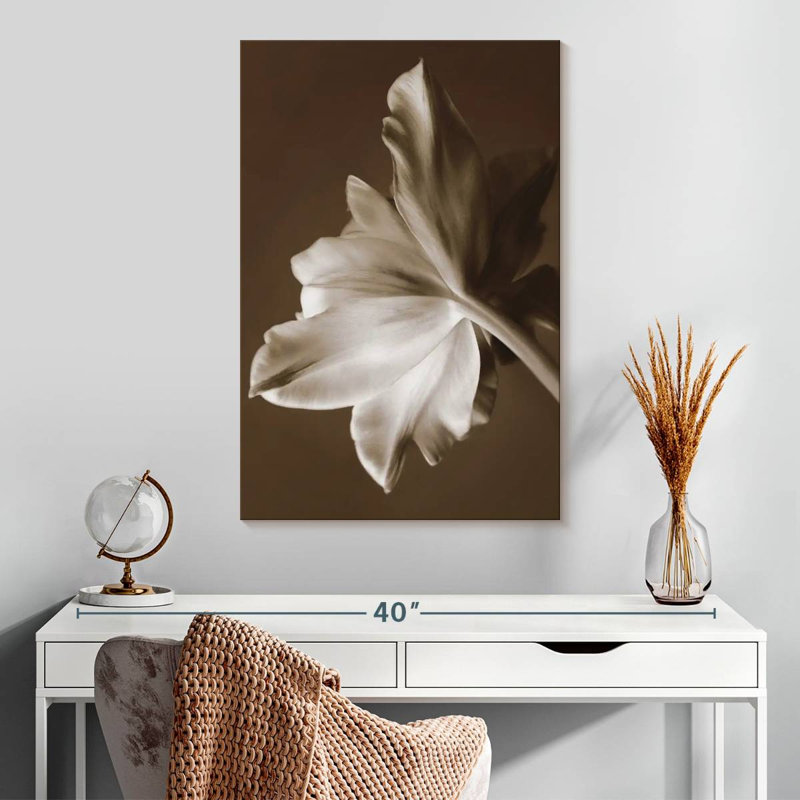 Harnek Moonglow Tulip, 30" H x 20" W