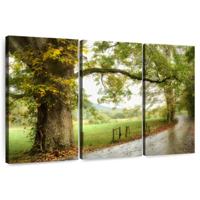 Alvord Wet Path