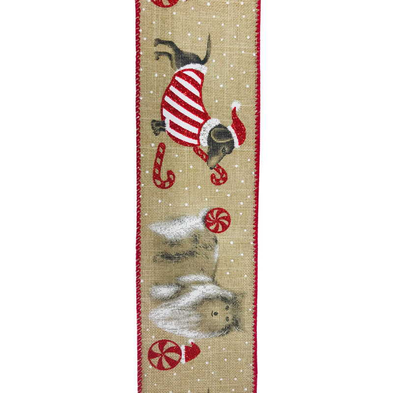 Ruban pour chiens