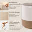 Zuvo Fabric Laundry Basket with Handles