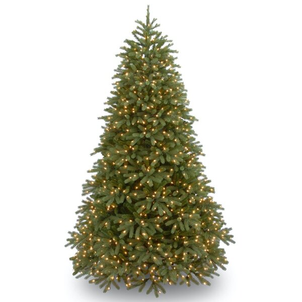 https://assets.wfcdn.com/im/57373011/resize-h600-w600%5Ecompr-r85/1335/133566525/Christmas+Trees.jpg
