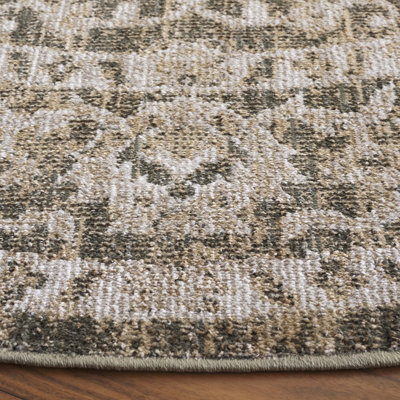 Hazel Performance Oriental Rug