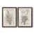 Papier, cadre noyer