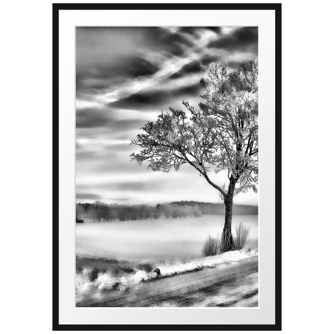 Gerahmtes Poster Baum im Schnee