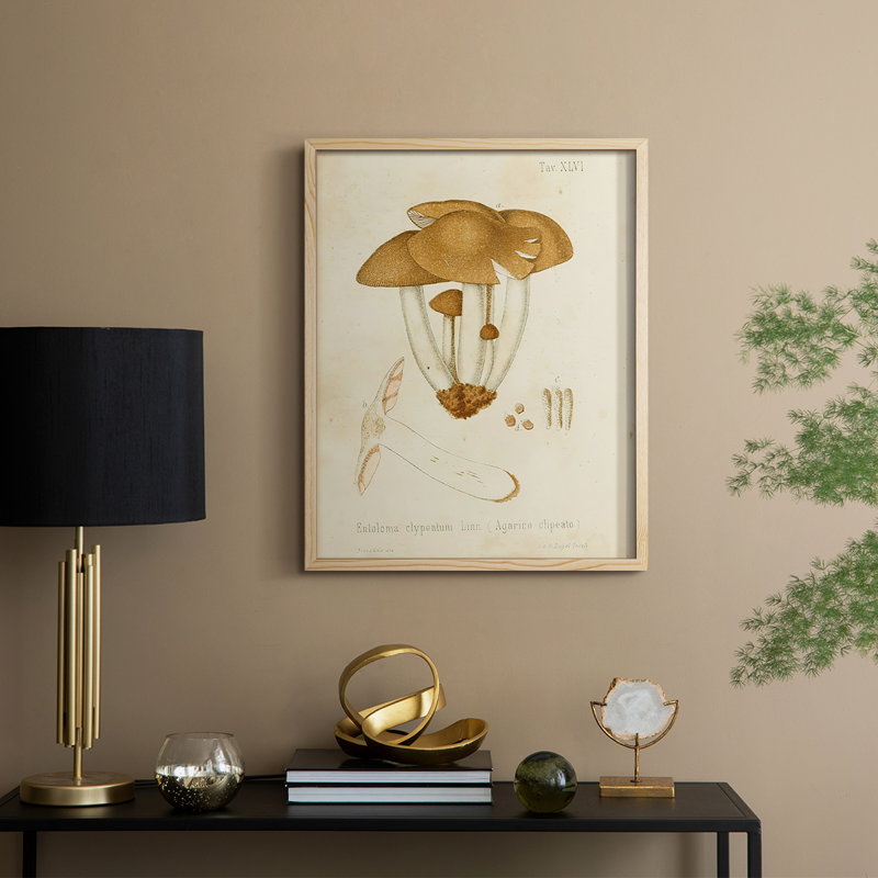 Reproduction encadrée champignon V Variétés - bois massif