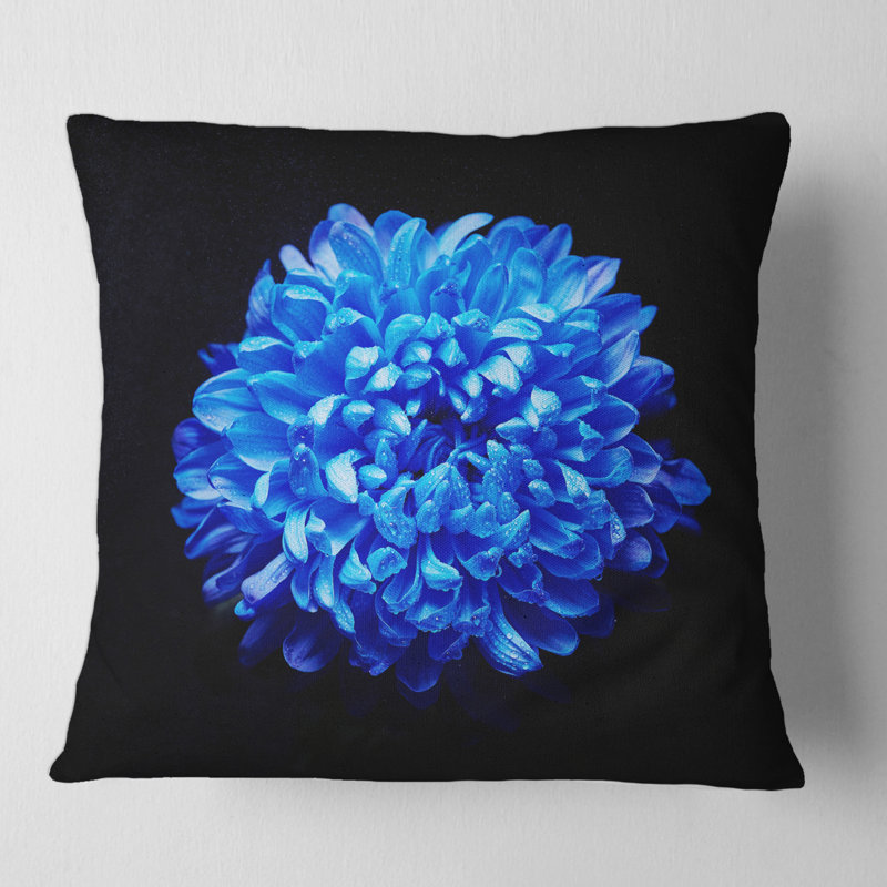 Housse de coussin carré et insert, 18" x 18"