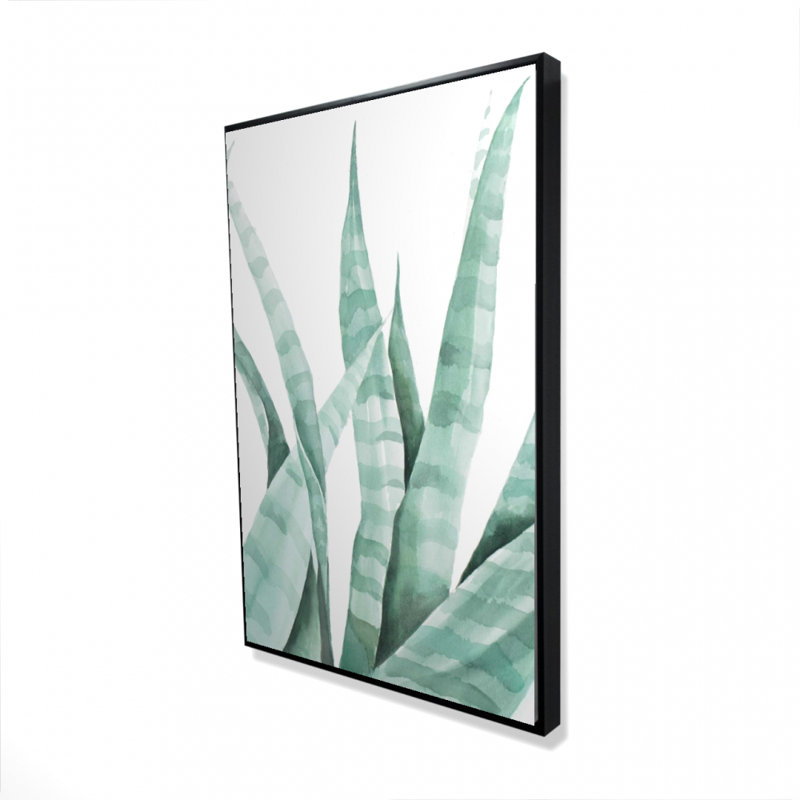 «Watercolor Striped Desert Plant» sur