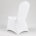 White Polyester