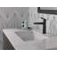 Galeon Single Hole Bathroom Faucet with Drain Assembly-62016580