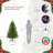 Christmas Tree-885991726