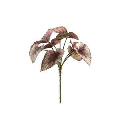 Leaves 33cm Plant