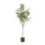 ARBRE EUCALYPTUS 150CM 150CM
