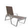 Holna Outdoor Rust-Resistant Metal Chaise Lounge