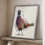 Pheasant Splash 6, reproduction encadrée - bois massif-510672518