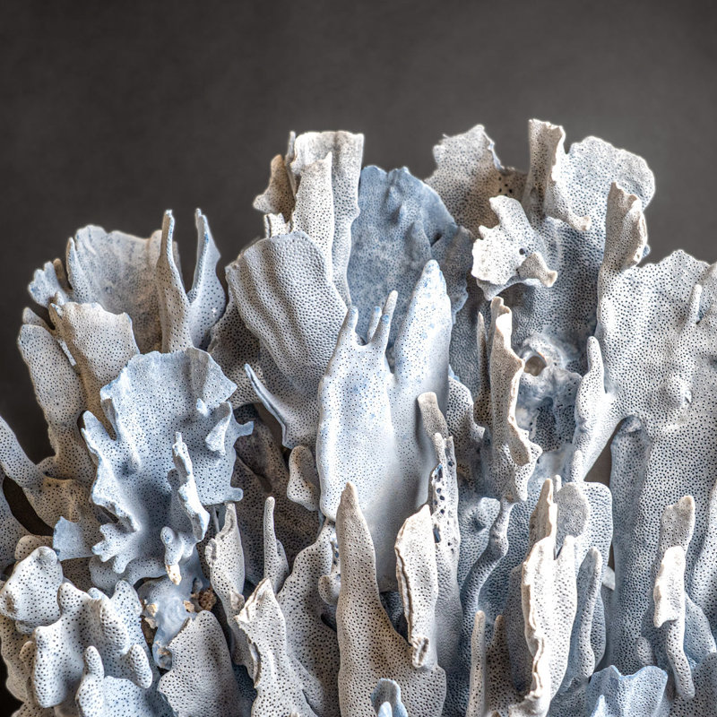Genuine Blue Ridge Coral (21", 29 Lbs)