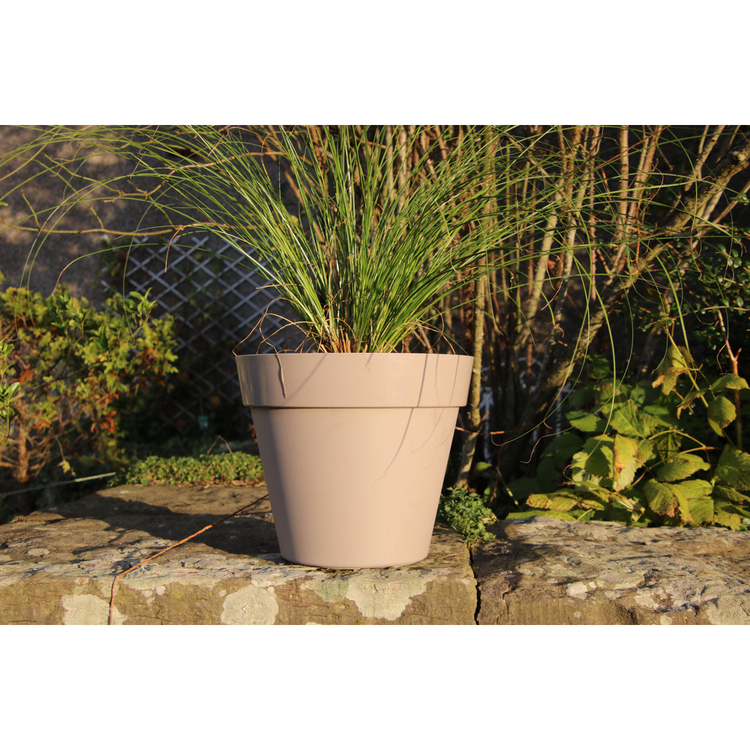 Bojorquez Pot Planter