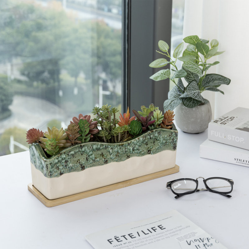 Pot de fleurs d'intérieur en céramique 12 po avec plateau