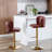 Annajean Adjustable Height Counter Stool-1113494827-1113494828