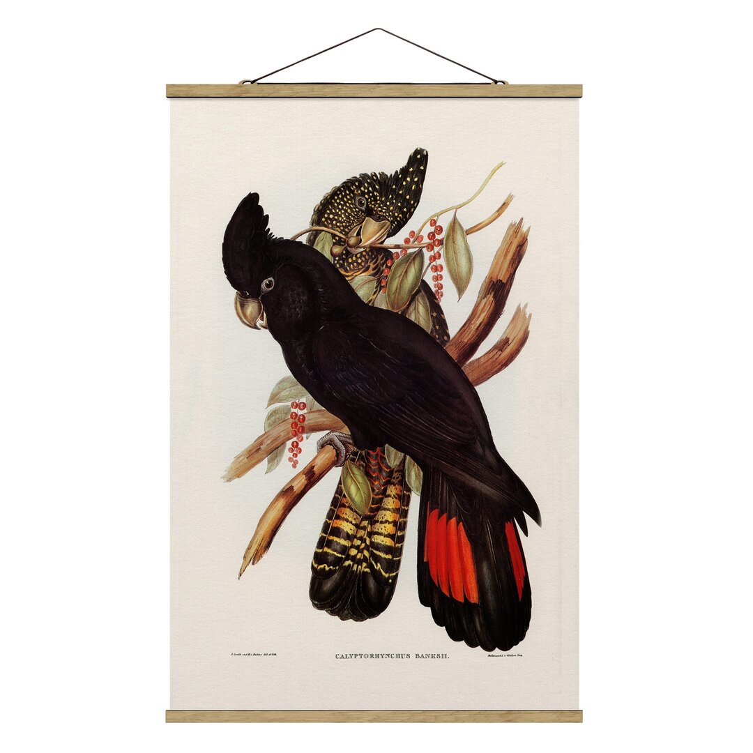 Stoffbild Vintage Illustration Raven Cockatoo