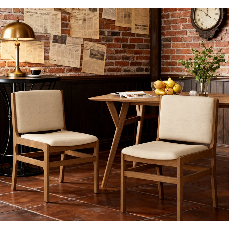 Modern Accent Dining Chairs