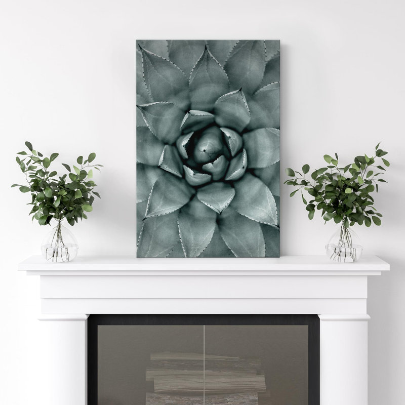 Plante grasse pour chambre à coucher, H 48 po x l 32 po