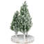 Frosted Trio Of Pine Trees Christmas Decoration - 8" - Unlit