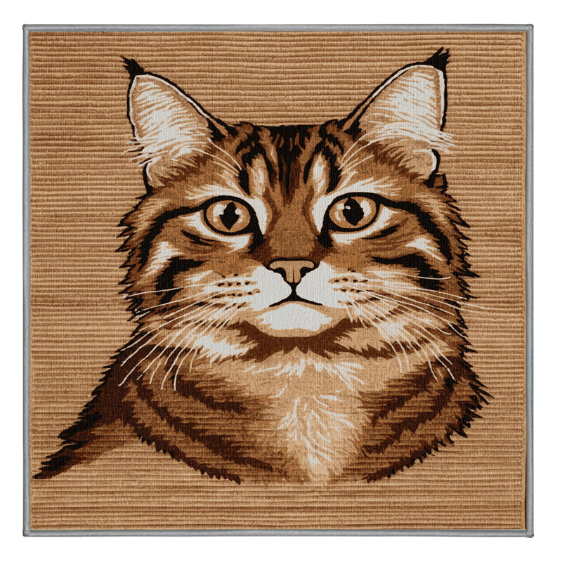  Tapis asiatique lavable à poils longs, Carré 6 pi