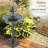 Arnt Weather Resistant Fountain-1111071383