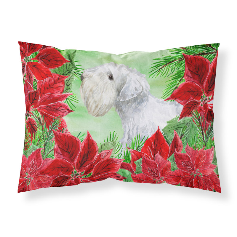 Microfiber, Sealyham Terrier