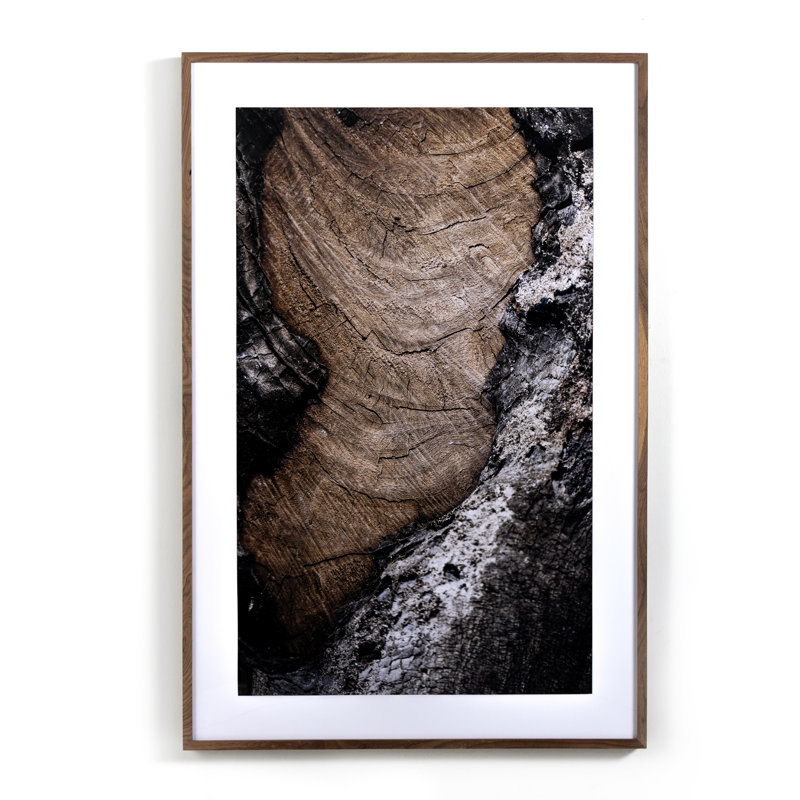 Char VI Print by La Gurvia Madaeras, 60" H x 40" W x 2.5" D