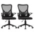 2-Pack Ergonomic Office Chair With Flim-Up Armrests