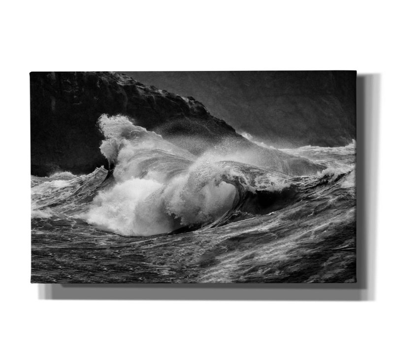  «Siren's Song 3 B&W» par Rick Berk, 40 po x 26 po, H 26 po x l 40 po