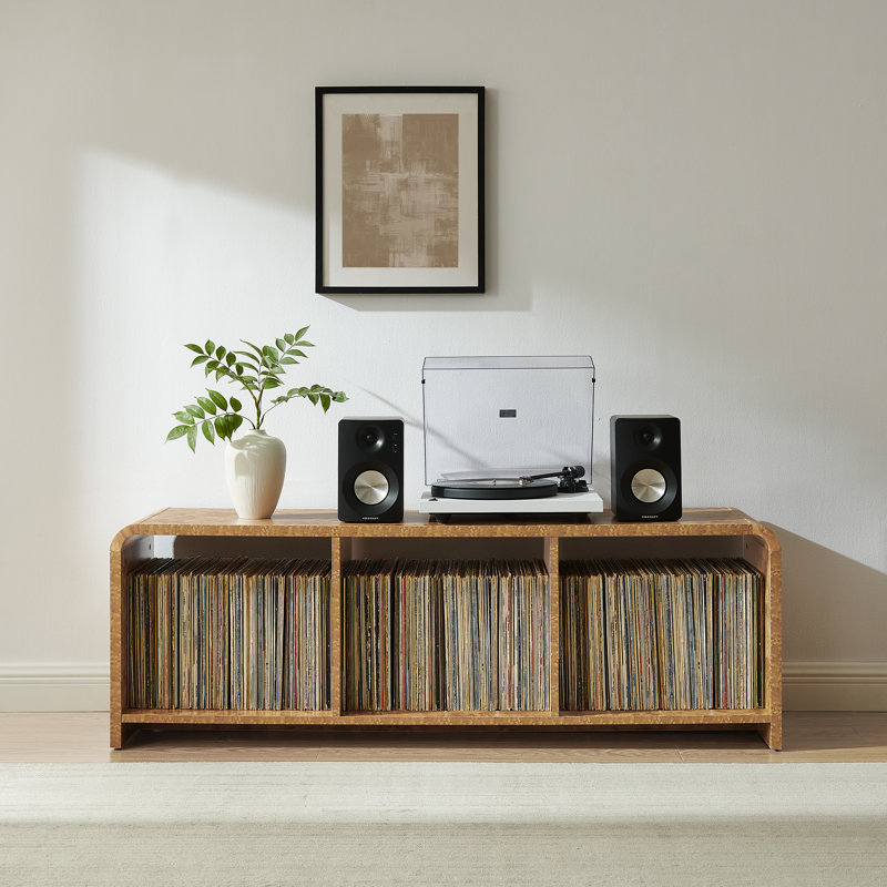 Grand tourne-disque Danley avec rangement en vinyle