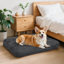 Coussin de siège pour animal de compagnie-863325964-863325967