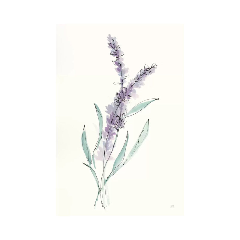 Lavender IV by Chris Paschke - Wrapped Canvas Gallery-Wrapped Canvas Giclée, 66.04 cm H x 45.72 cm W x 1.91 cm D