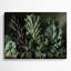Légumes, chou frisé, Brassica oleracée, art mural en métal vert-870828796