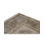 Walton Oriental Area Rug