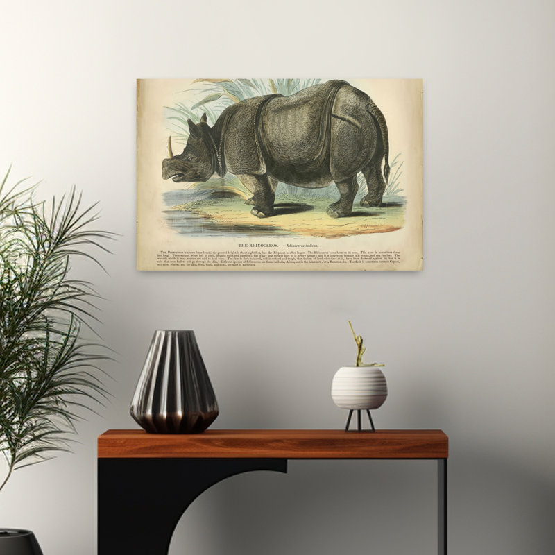 Rhino - reproduction d'art sur nature, H 16 po x l 24 po