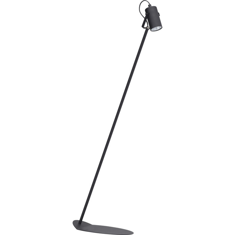 Avayah 150cm Black Reading Floor Lamp