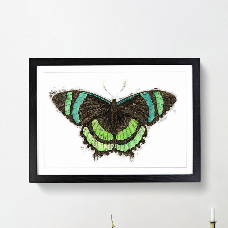 Orontes Butterfly by George Shaw - Picture Frame Painting Print, Black Framed, 27cm H x 36cm W x 2cm D