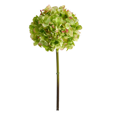 Hydrangea Arrangement