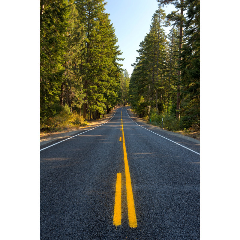 Highway 26 Through Mt Hood National Forest - Wrapped Canvas Print, 46cm H x 30cm W x 3.8cm D