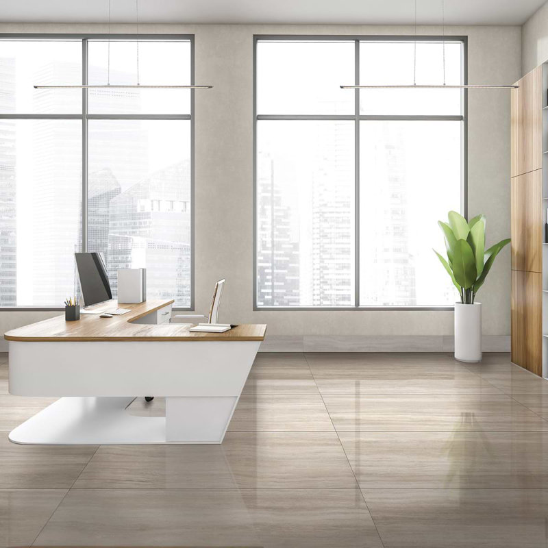 Nashville White 24X48 Matte Porcelain Tile, Beige