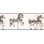 Bordure de papier peint à motif animalier L 9 pi x l 180 po Altamiranda