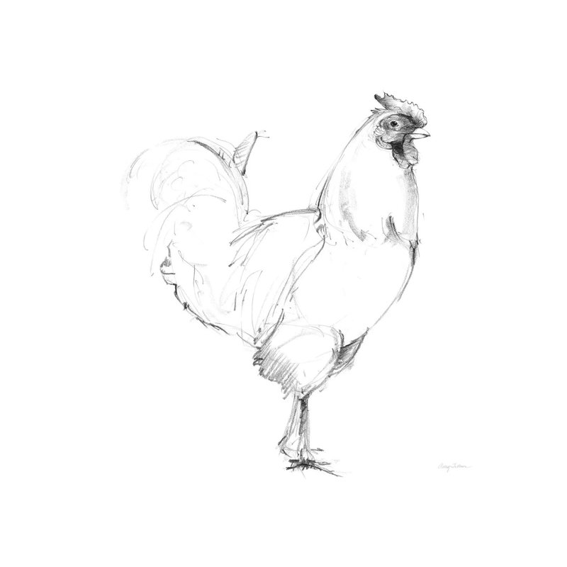 Rooster II Dark Square by Avery Tillmon - Wrapped Canvas Print, 66.04 cm H x 66.04 cm W x 3.175 cm D