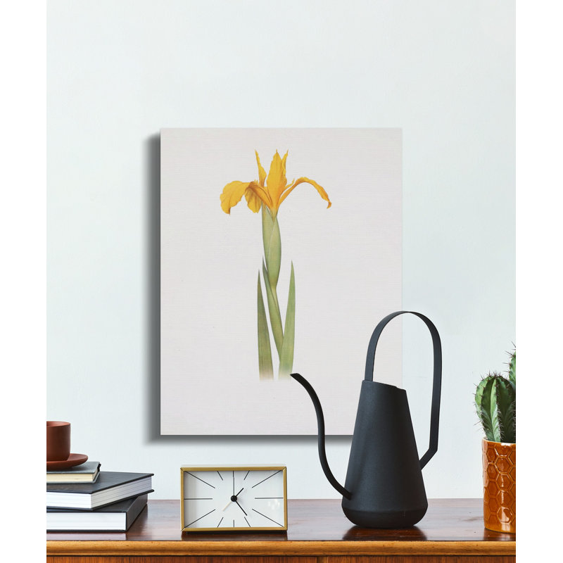 Hetzel Wrapped Canvas Print Set, 9x12